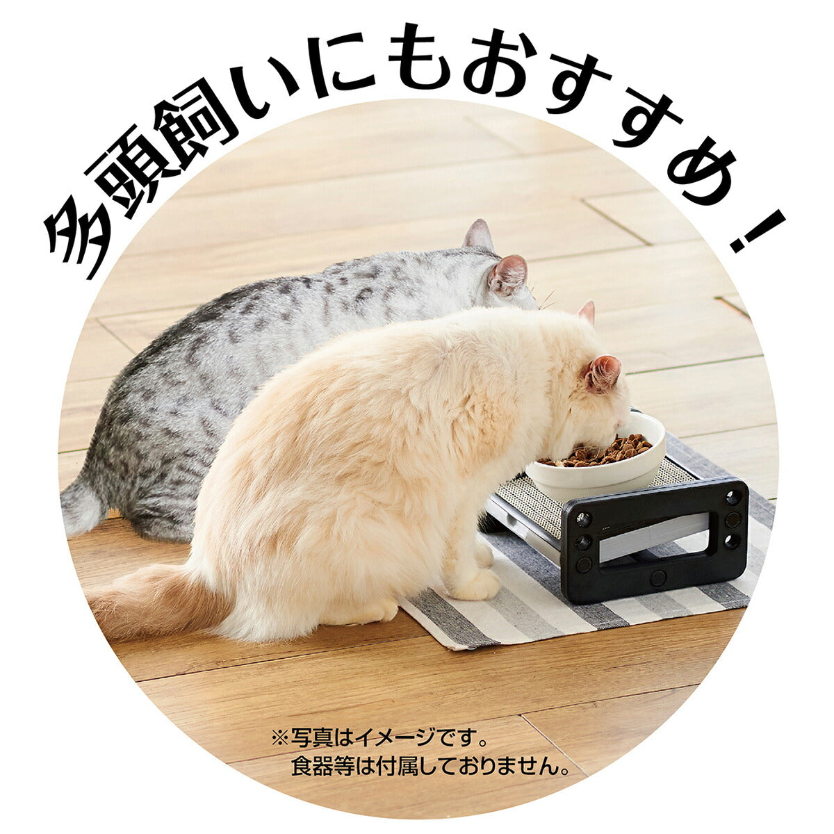 アドメイト ヴィラフォート ダイニングキャットテーブル