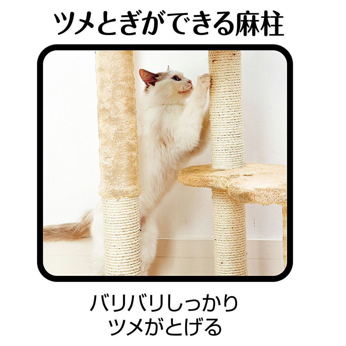 アドメイト ねこまど ヴィラフォートキャットポール ハンモック【送料無料】