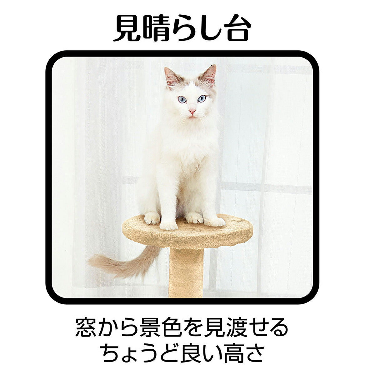 アドメイト ねこまど ヴィラフォートキャットポール ハンモック【送料無料】