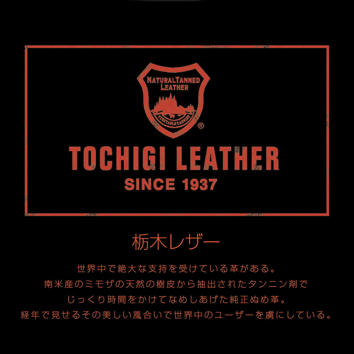 アドメイト アンティークレザースタイルリード S グリーン