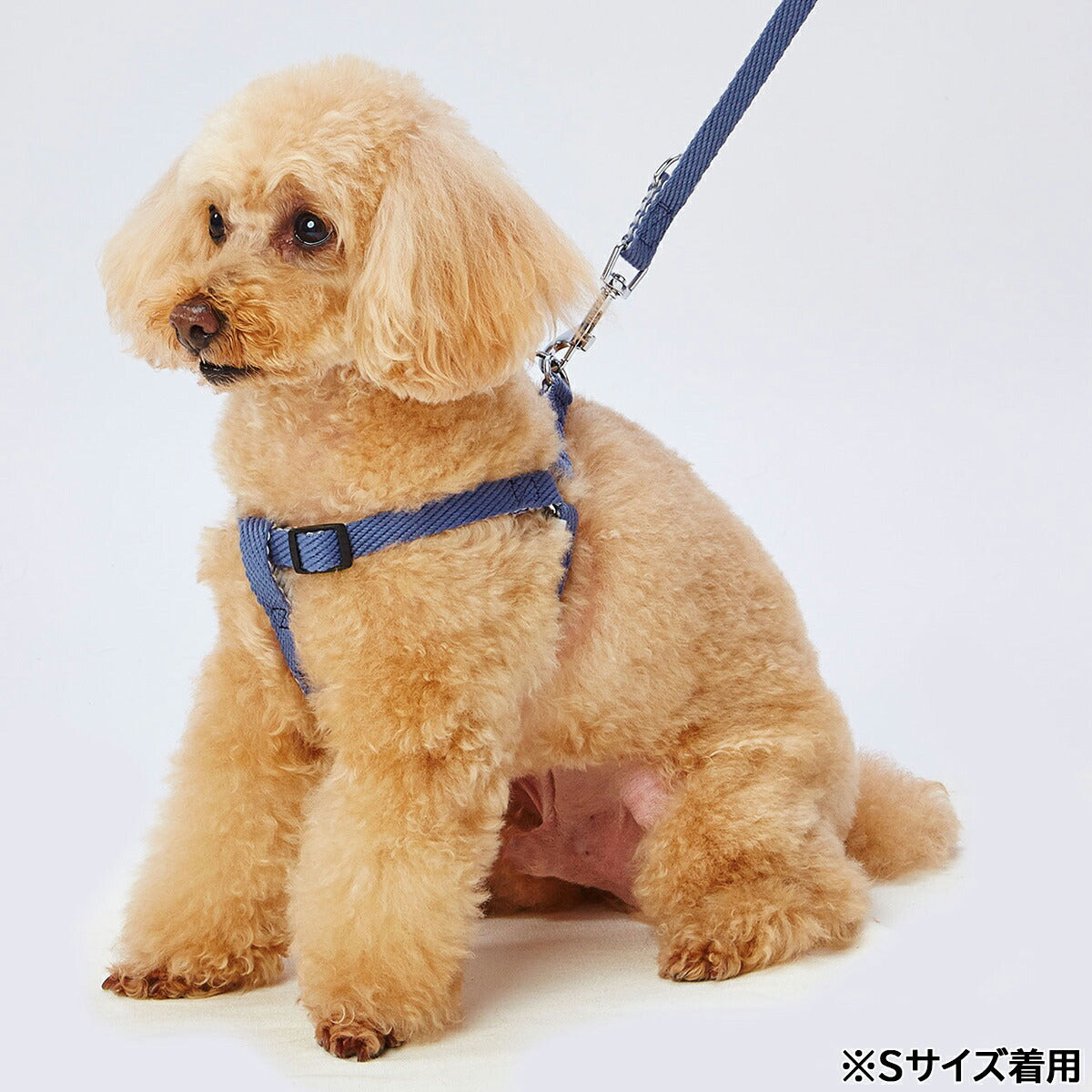 アドメイト ソフトスキップハーネス L ブルー