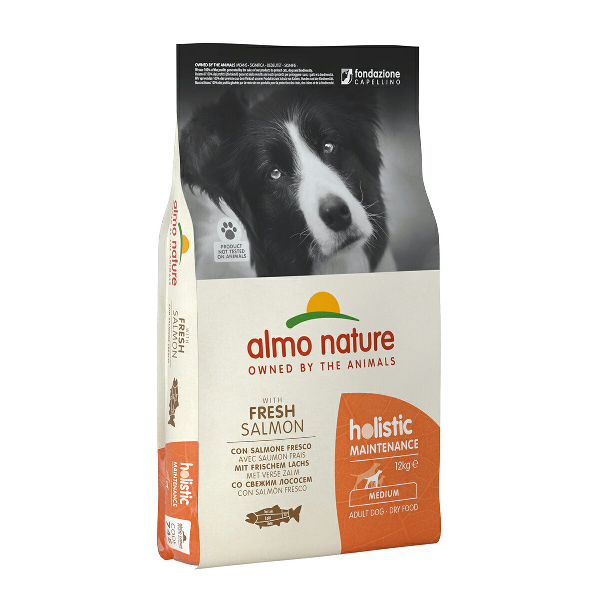 アルモネイチャー ドッグフード ホリスティックドライフード 中型犬用 サーモン 12kg 犬 ドライフード 総合栄養食 成犬