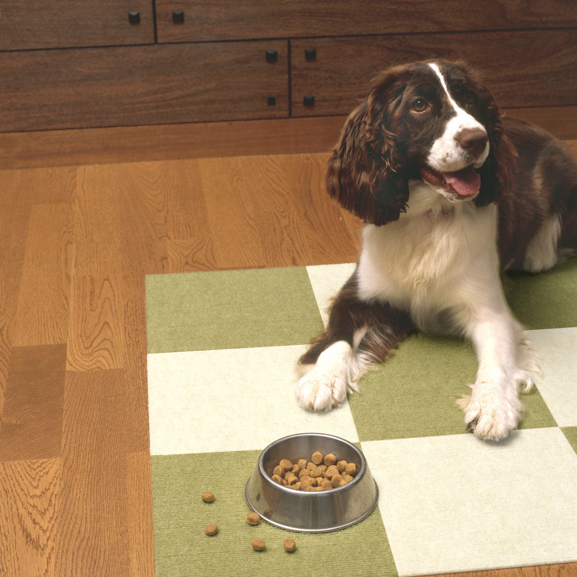 サンコー おくだけ吸着 ペット用撥水タイルマット 同色 グリーン 20枚入【送料無料】 滑り止め 洗える ペット用品 犬用品 撥水マット ジョイントマット 床暖房対応 消臭加工 国産