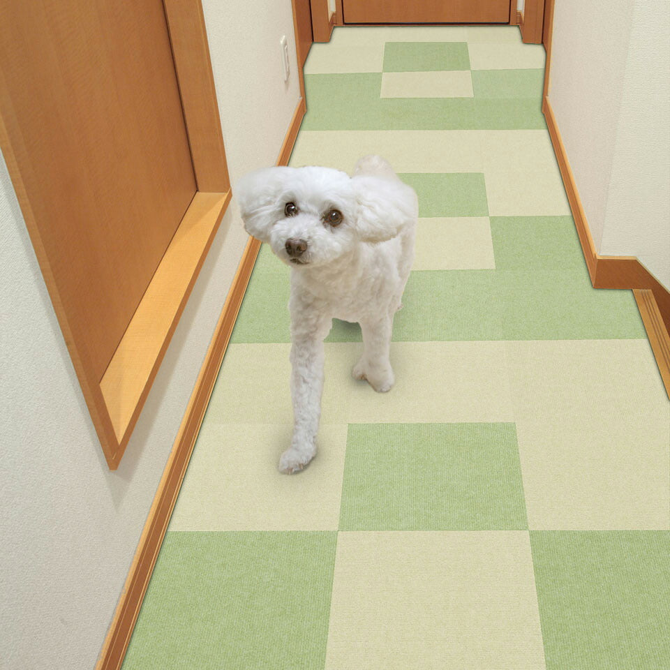 サンコー おくだけ吸着 ペット用撥水タイルマット 同色 グリーン 40枚入【送料無料】 滑り止め 洗える ペット用品 犬用品 撥水マット ジョイントマット 床暖房対応 消臭加工 国産