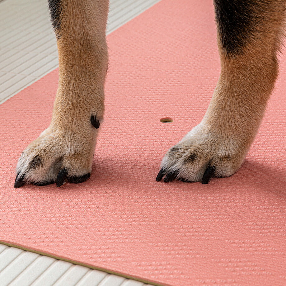 サンコー ペットのシャンプー快適マット 45×55cm ピンク すべり止め バスマット すべらない シニア 老犬