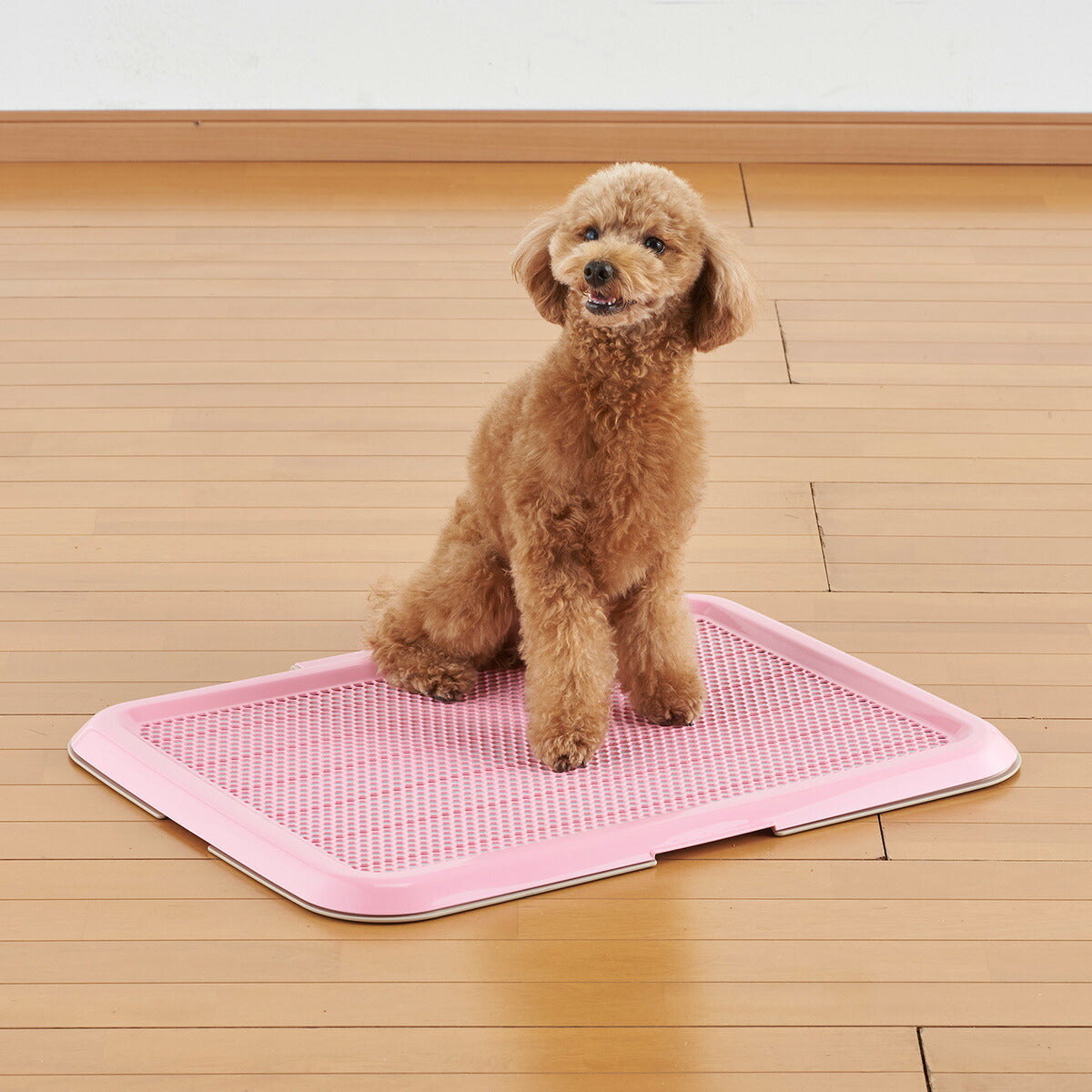 ボンビアルコン 薄型しつけるトレー M ピンク トイレトレー トイレトレーニング 犬用トイレ メッシュカバー