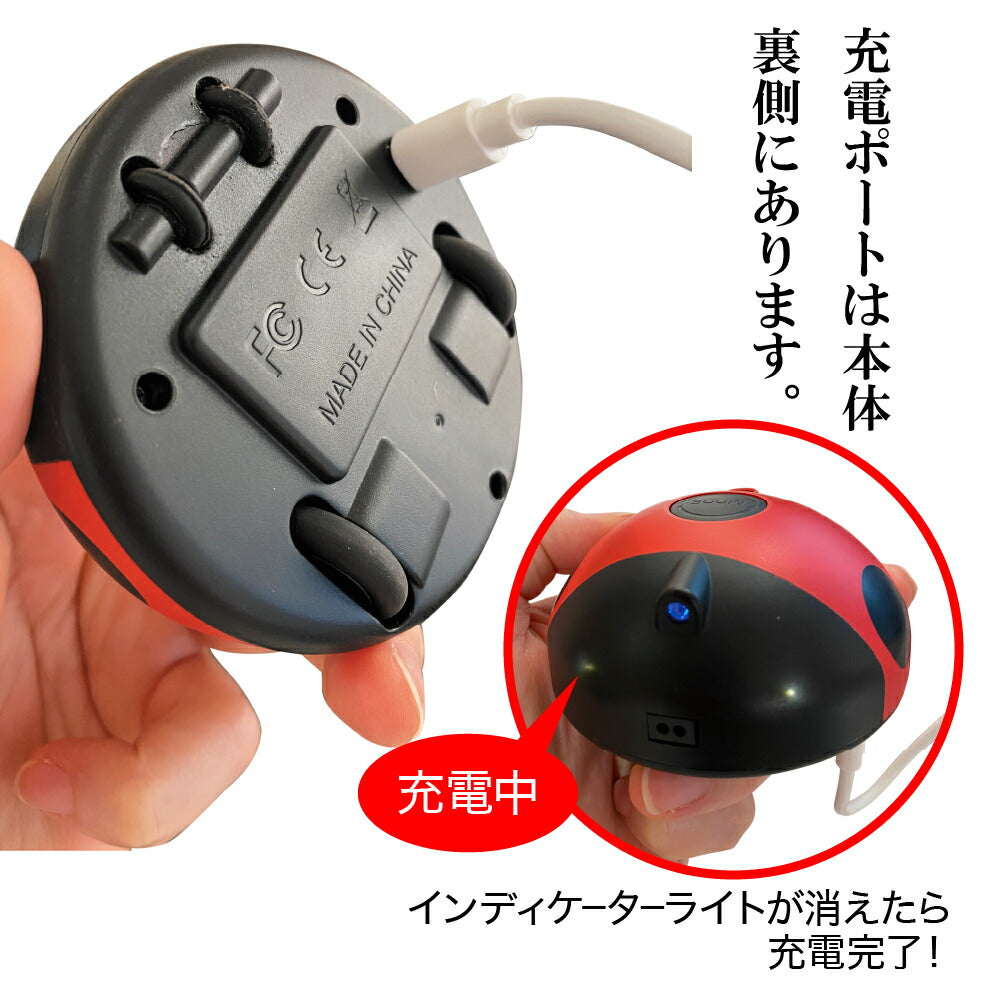 ファンタジーワールド 猫用おもちゃ ファンタジーレディーバグ 猫 TOY ネコ おもちゃ 電動 ボール ねこじゃらし