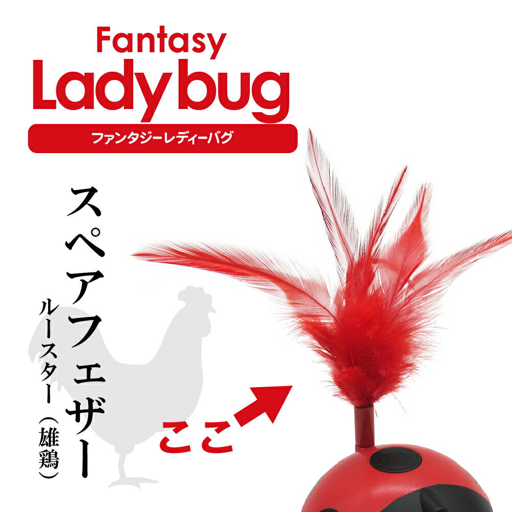 ファンタジーワールド 猫用おもちゃ ファンタジーレディーバグスペアフェザー ルースターフェザー 猫 TOY ネコ おもちゃ 電動 ボール ねこじゃらし