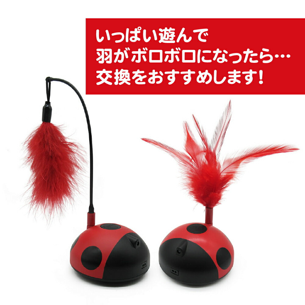 ファンタジーワールド 猫用おもちゃ ファンタジーレディーバグスペアフェザー ターキーフェザー 猫 TOY ネコ おもちゃ 電動 ボール ねこじゃらし