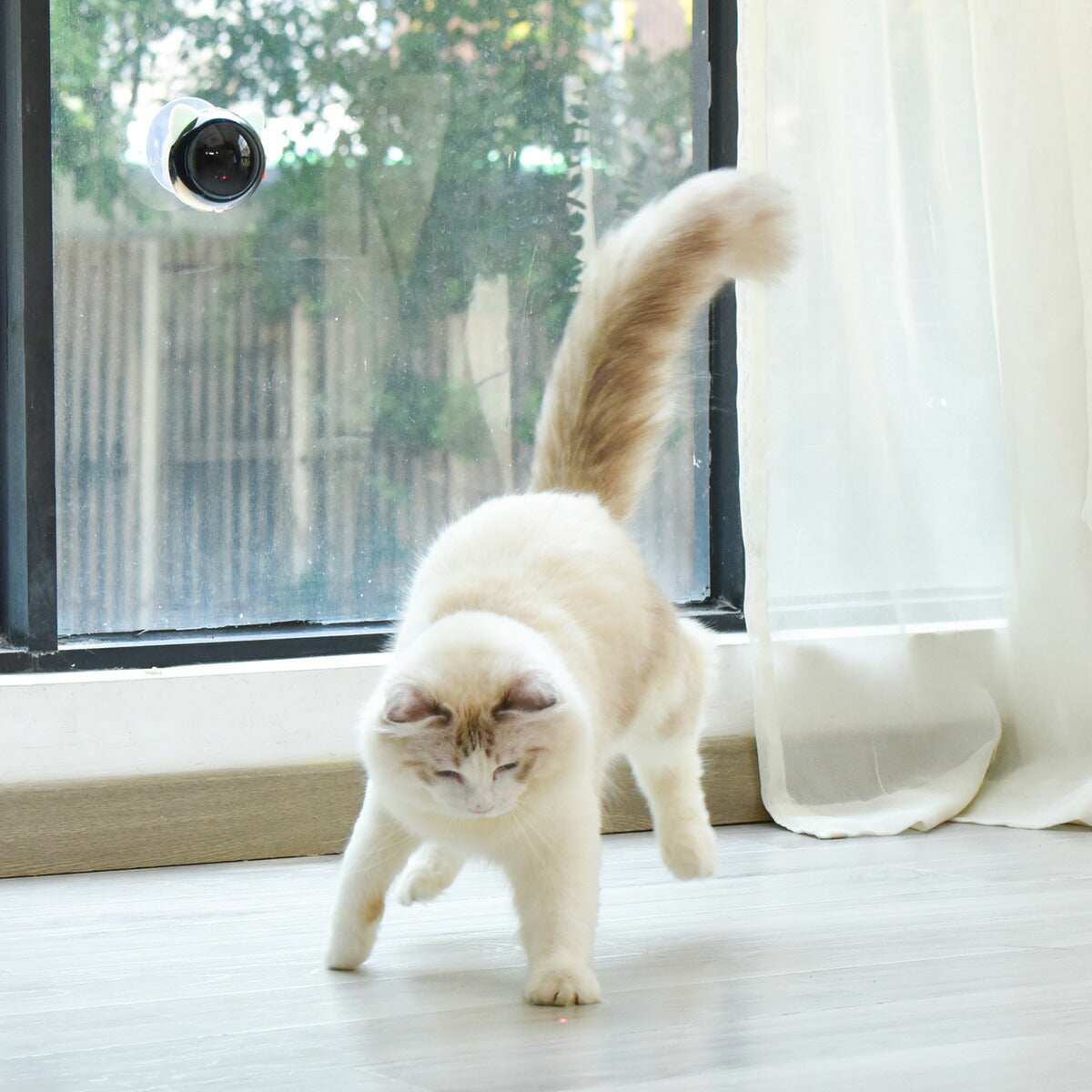 BENTOPAL ベントパル スマートレーザーペットトイ SMART LAZER PET TOY P08【送料無料】 猫じゃらし 電動 猫用おもちゃ 自動