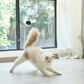 BENTOPAL ベントパル スマートレーザーペットトイ SMART LAZER PET TOY P08【送料無料】 猫じゃらし 電動 猫用おもちゃ 自動