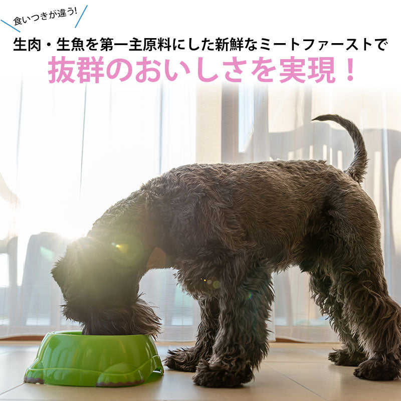 ニュートロ シュプレモ ドッグフード 小型犬用 成犬用 3kg NUTOR ドッグフード 無添加 犬 犬用品 ペット用品 [SP-AD]【NVY】