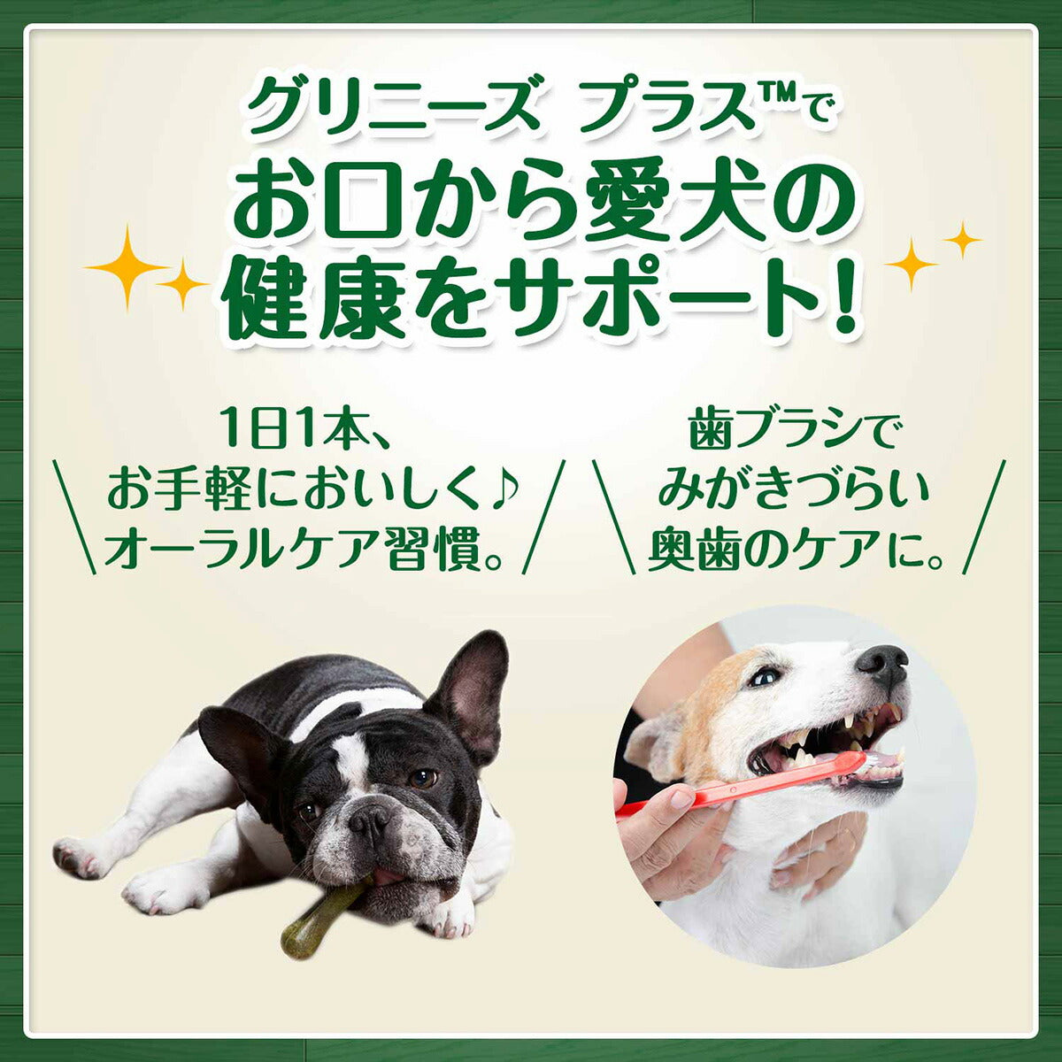 グリニーズプラス カロリーケア 超小型犬用 体重1.3-4kg 60本入り カロリー約5%オフ！