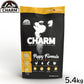 チャーム CHARM ドッグフード パピー 子犬用 穀物不使用 5.4kg【送料無料】 正規品 無添加 グレインフリー