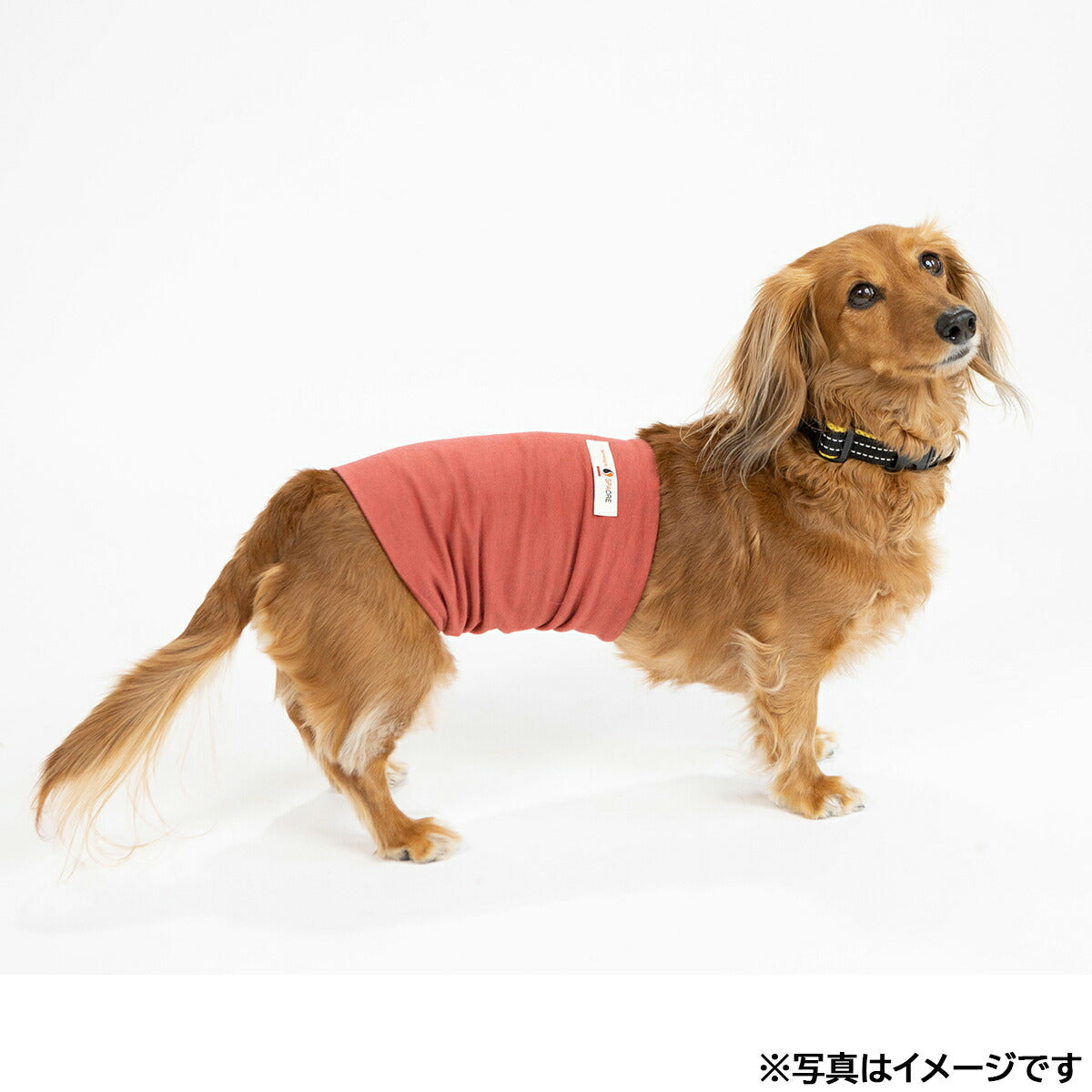 ペタプラス YORISOUカラー 犬用首輪 S イエロー【送料無料】 スパオール テラクール 血行 疲労 リラクゼーション 健康サポート 老犬