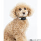 ペタプラス YORISOUカラー 犬用首輪 XS イエロー【送料無料】 スパオール テラクール 血行 疲労 リラクゼーション 健康サポート 老犬