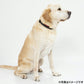 ペタプラス YORISOUカラー 犬用首輪 L レッド【送料無料】 スパオール テラクール 血行 疲労 リラクゼーション 健康サポート 老犬