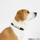 ペタプラス YORISOUカラー 犬用首輪 M レッド【送料無料】 スパオール テラクール 血行 疲労 リラクゼーション 健康サポート 老犬