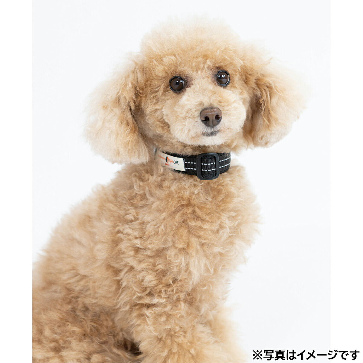 ペタプラス YORISOUカラー 犬用首輪 XS レッド【送料無料】 スパオール テラクール 血行 疲労 リラクゼーション 健康サポート 老犬