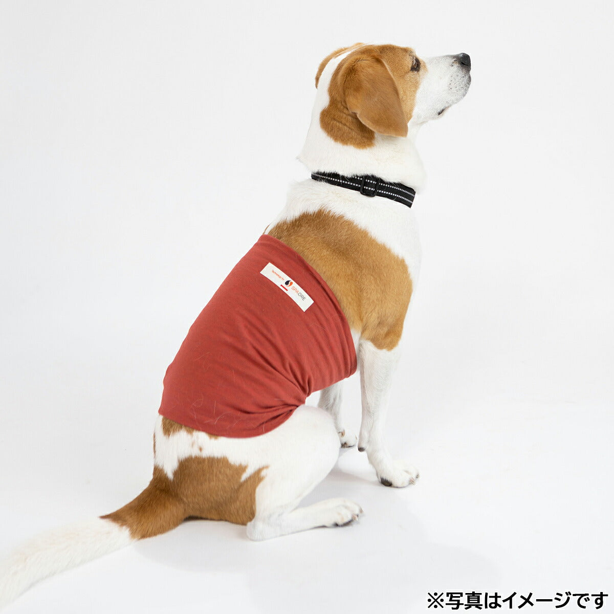 ペタプラス HARAMAKI 犬猫用腹巻 S レッド スパオール