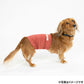 ペタプラス HARAMAKI 犬猫用腹巻 XS レッド【送料無料】 スパオール テラクール 血行 疲労 リラクゼーション 健康サポート 老犬 冷え ヘルニア