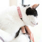 ペタプラス にゃんくるバンド（ちりめん） 猫・小型犬用 ネックバンド M 無地ピンク【送料無料】