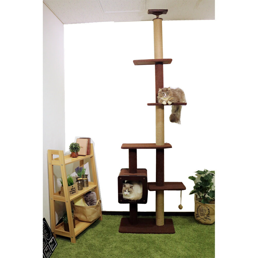 キャティーマン モダンルームスクラッチ タワーシングル【送料無料】 猫 おもちゃ キャットタワー