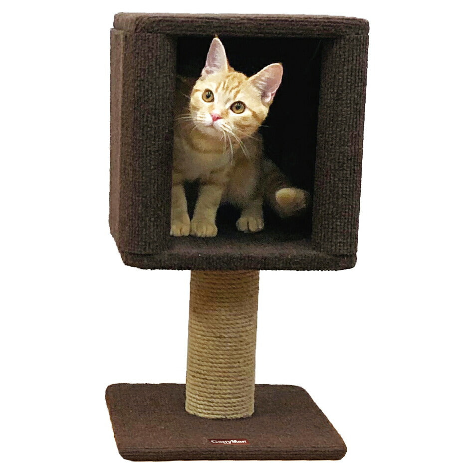 キャティーマン モダンルーム コンパクトにゃボックス 猫 おもちゃ キャットタワー