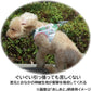 ドギーマン HL05 おそとたんけんウェアハーネス SS 超小型犬