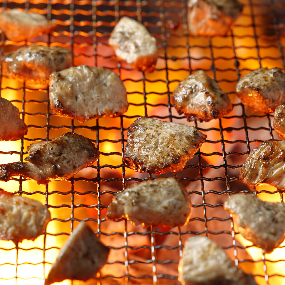 ドットわん 炎の炭火焼き九州若鶏 30g 国産 犬のおやつ レトルト トッピング