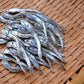 ドットわん 幻の干しイワシ 30g 犬用おやつ 無添加 魚 にぼし