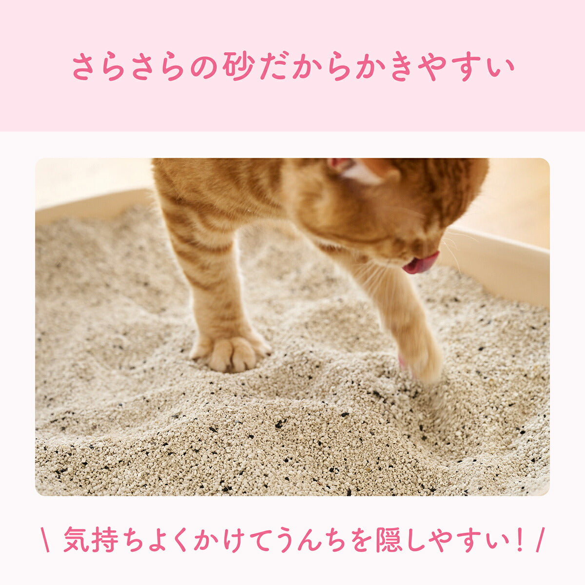 エリエール キミおもい カチッと固まる ネコ砂 5L×4袋【送料無料】