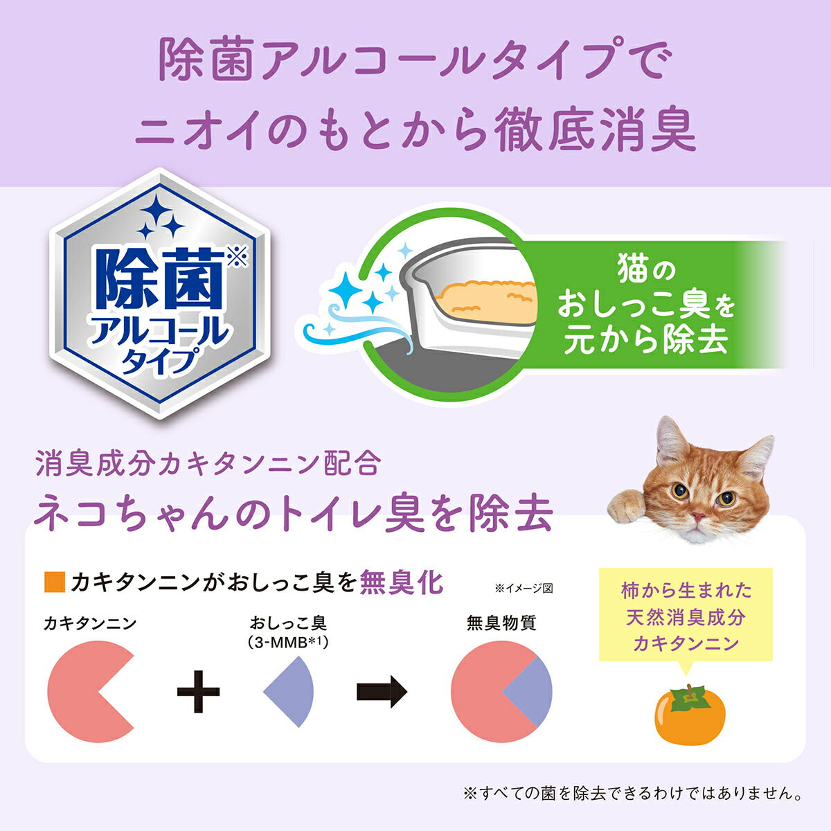エリエール キミおもい 徹底キレイおそうじシート ボトル本体 70枚×12個【送料無料】