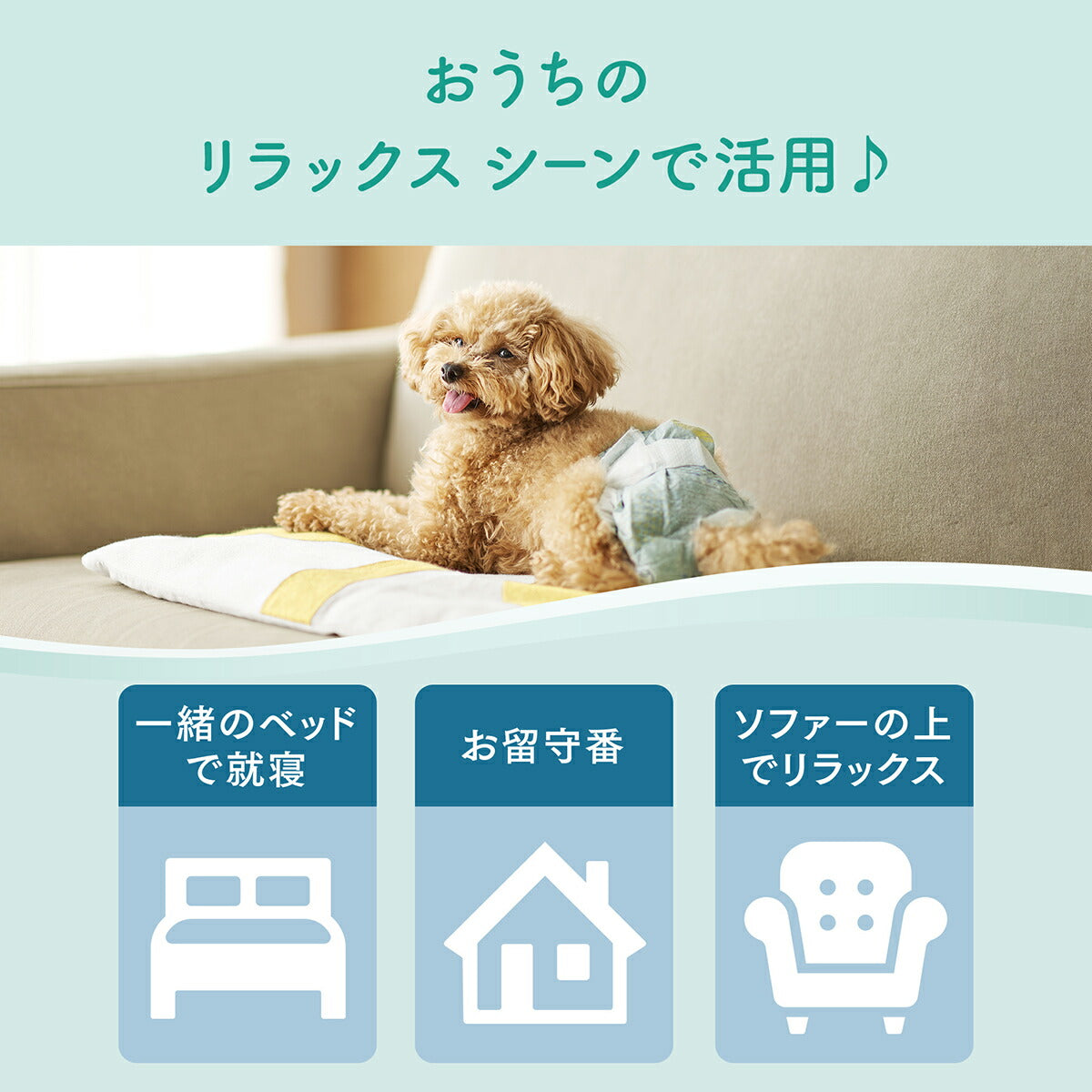 エリエール キミおもい リラックスウェア SS 38枚×8袋【送料無料】