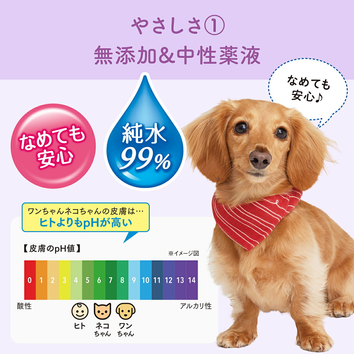 エリエール キミおもい 肌にやさしいウエットティシュー 純水99% 70枚×3P×12袋【送料無料】