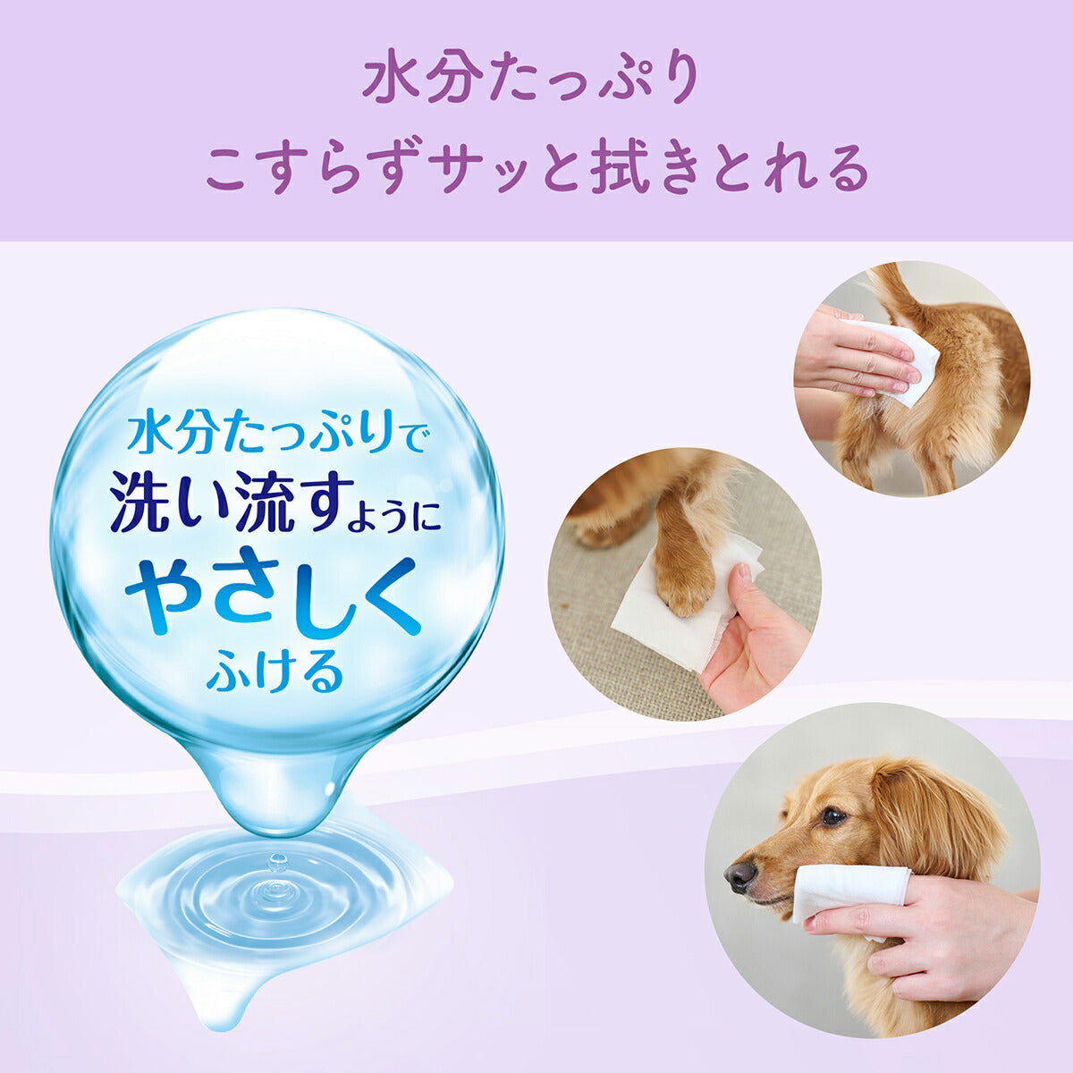 エリエール キミおもい 肌にやさしいウエットティシュー ノンアルコール除菌 60枚×3P×12袋【送料無料】