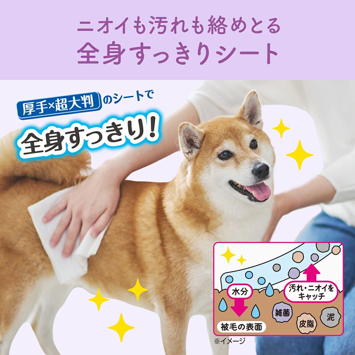 エリエール キミおもい 全身すっきりシート 中型犬用 20枚×16袋【送料無料】