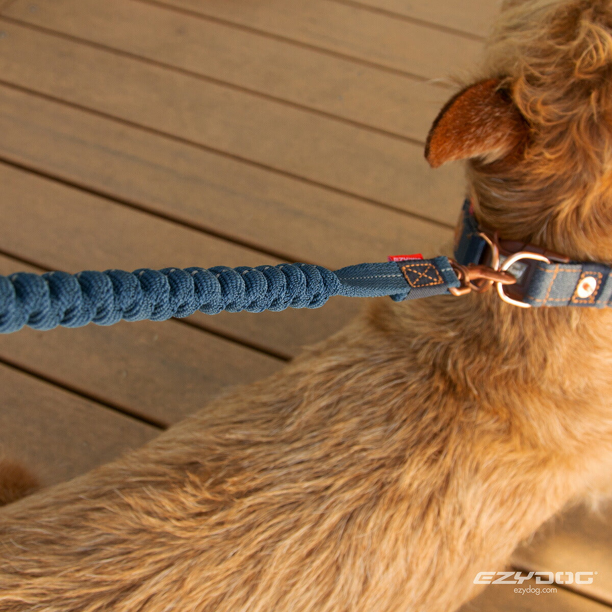 イージードッグ EZY DOG ゼロショックライト リード 120cm デニム【送料無料】伸縮機能付き