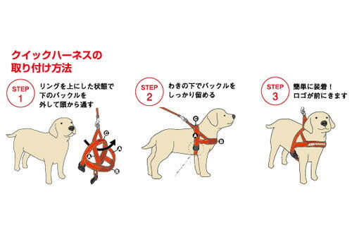 イージードッグ EZY DOG クイックハーネス L コーデュロイ【送料無料】胴輪