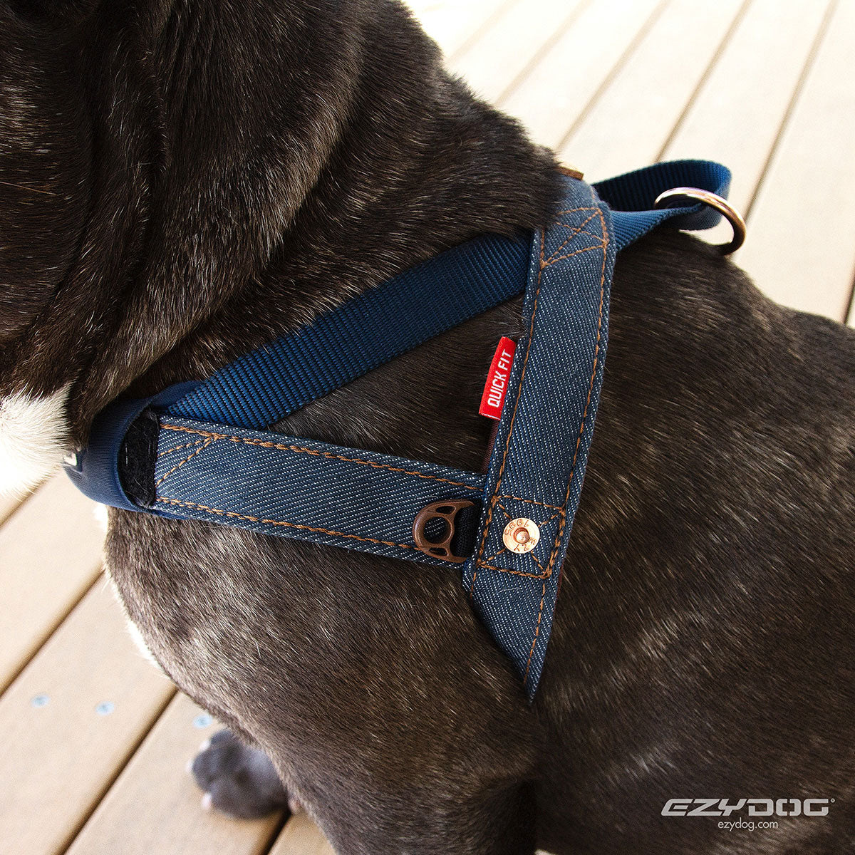 イージードッグ EZY DOG クイックハーネス XS デニム【送料無料】胴輪