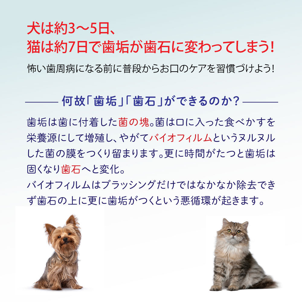 Oxyfresh オキシフレッシュ ペットデンタルウォーターアディティブ 237ml