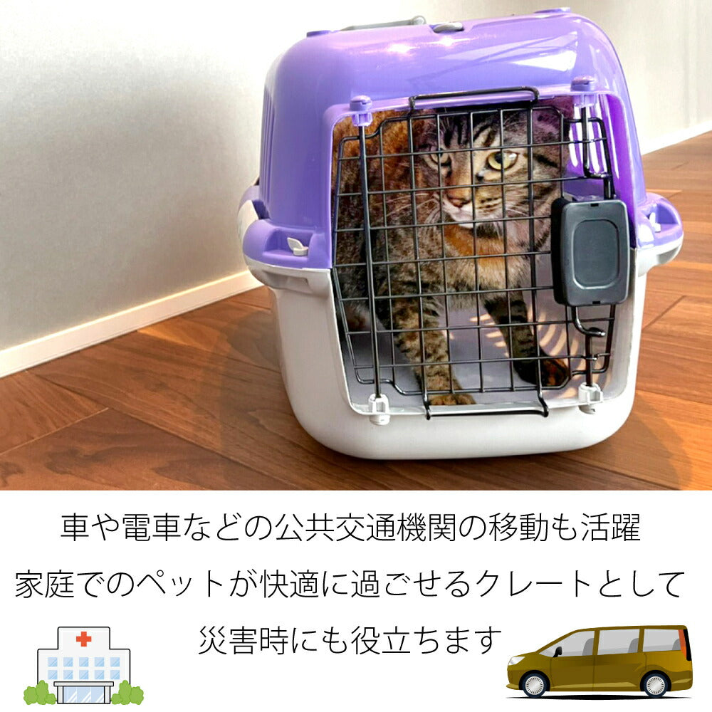 ファンタジーワールド ファンタジーキャリー S パープル