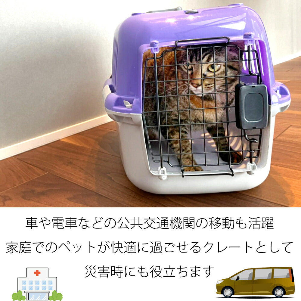 ファンタジーワールド ファンタジーキャリー オープン S パープル