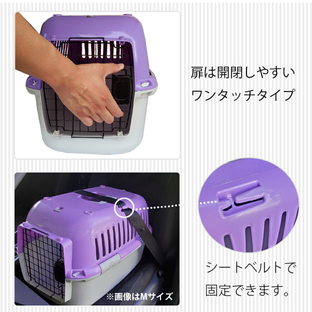 ファンタジーワールド ファンタジーキャリー オープン S パープル