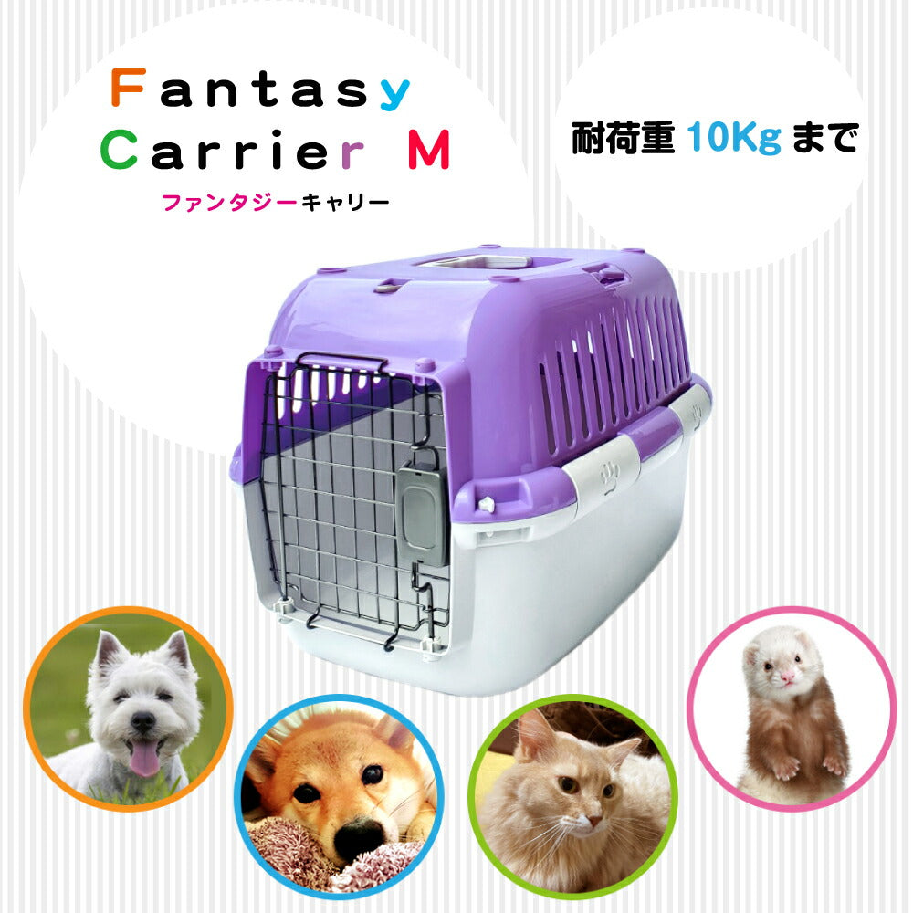 ファンタジーワールド ファンタジーキャリー M パープル