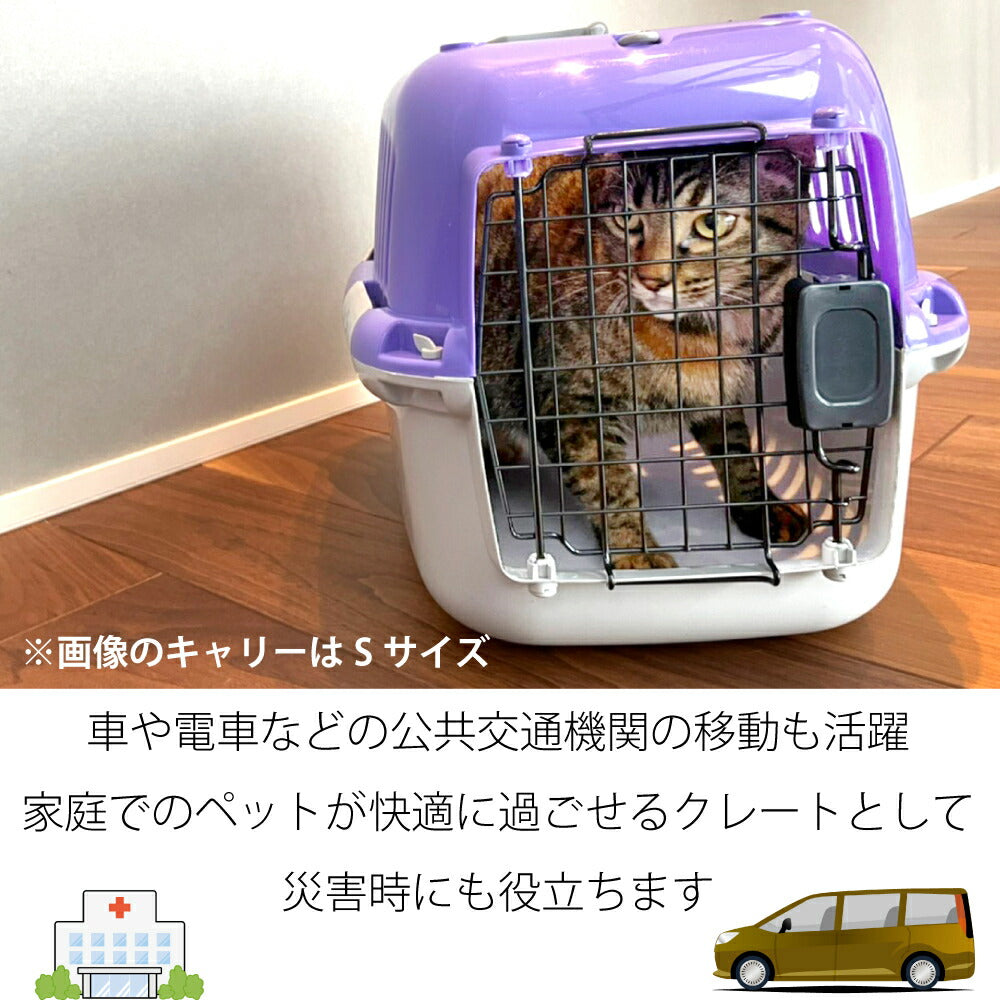 ファンタジーワールド ファンタジーキャリー M パープル
