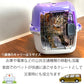 ファンタジーワールド ファンタジーキャリー オープン M パープル