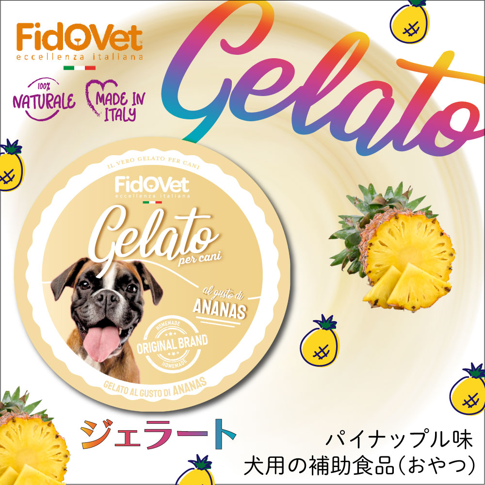 FidoVet フィドベット ジェラート パイナップル 40g