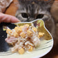 フォルツァ10 キャット トラットリアフォルツァ 75g×12缶（猫缶セット お得）
