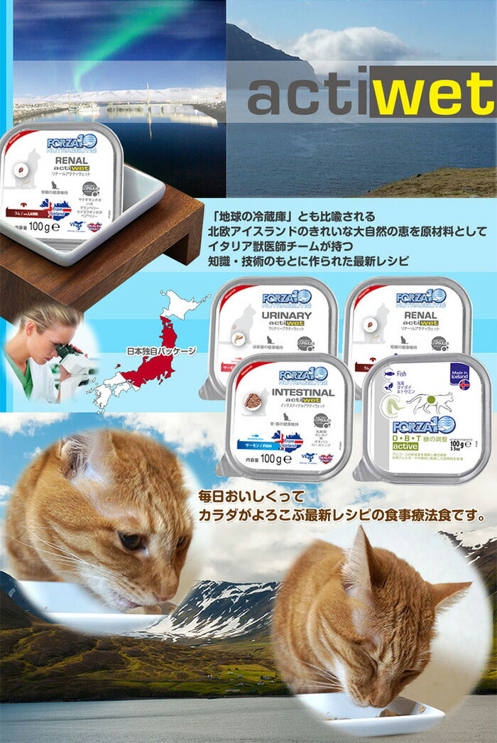 フォルツァ10 キャットフード アクティウェット インテスティナルアクティブ 100g 胃腸のトラブル用食事療法食/無添加/アレルギー対応/猫用品/ねこ/ペット用品